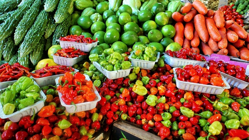 primeur-CHATEAUNEUF D ENTRAUNES-min_farmers-market-1329008